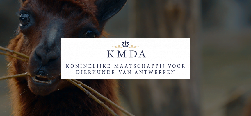 ZOO Antwerpen (KMDA): een 24/7 partnership